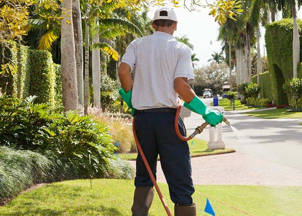 About Claflin KS Pest Control